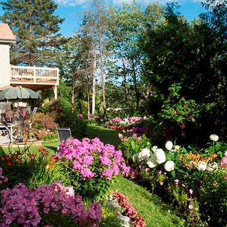 Gite Au Pied Du Courant De Gilbert Desjardins Mont-Laurier Zewnętrze zdjęcie